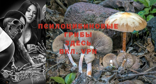 крисы Нефтегорск