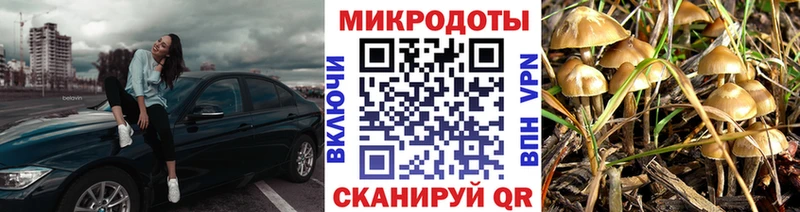 Купить закладки  Белгород  Галлюциногенные грибы мухоморы 